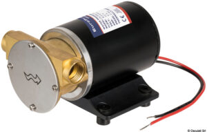 Europump self-priming pump brass head 12 V