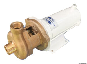 Bronze centrifugal electropump 12V 40 l/min